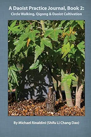 a daoist practice journal book 2 circle walking qigong and daoist cultivation 1st edition michael j rinaldini