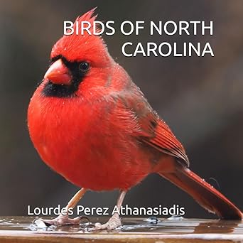 birds of north carolina 1st edition lourdes perez athanasiadis 0984086293, 978-0984086290