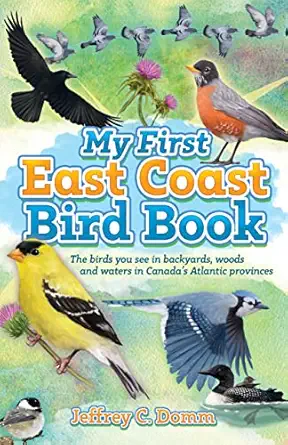 my first east coast bird book the birds you see in back yards woods and waters in canadas atlantic provinces