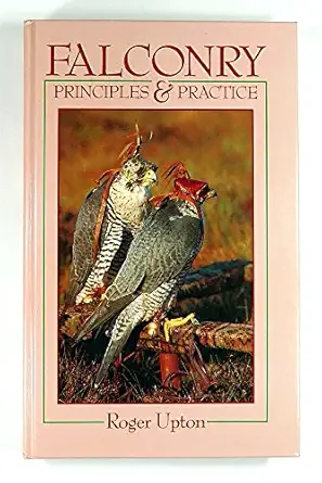 falconry principles and practice principles and practice 1st edition roger upton 0713632623, 978-0713632620