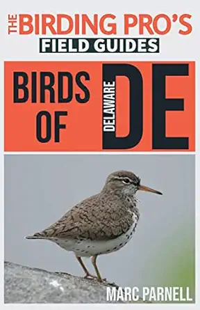 birds of delaware 1st edition marc parnell 1954228392, 978-1954228399