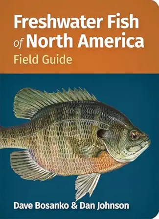 freshwater fish of north america field guide 1st edition dave bosanko ,dan johnson 1647556066, 978-1647556068