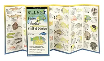 wreck and reef fishes of florida and gulf of mexico 1st edition val kells 1935380710, 978-1935380719