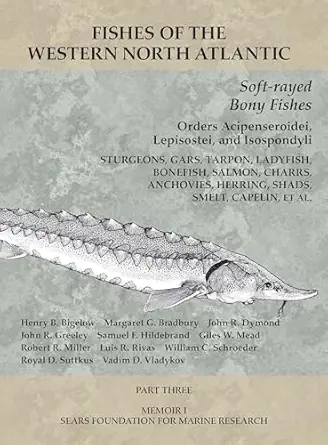 soft rayed bony fishes orders acipenseroidei lepisostei and isospondyli part 3 1st edition henry b bigelow