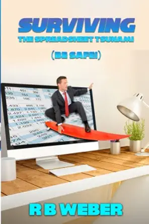 surviving the spreadsheet tsunami be safe 1st edition richard weber 1734093110, 978-1734093117