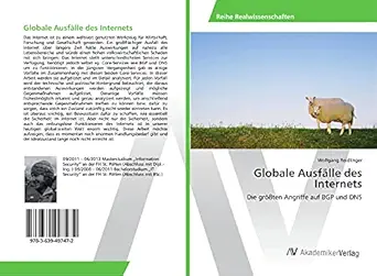 globale ausfa lle des internets die gra a ten angriffe auf bgp und dns 1st edition wolfgang reidlinger
