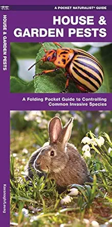 house and garden pests how to organically control common invasive species 1st edition james kavanagh