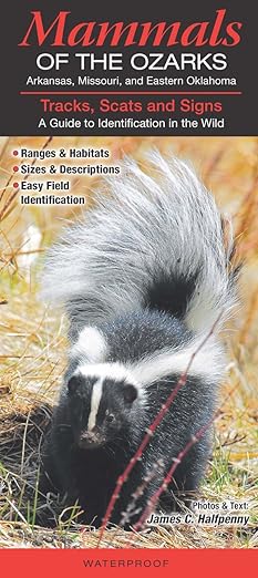 mammals of the ozarks arkansas missouri and eastern oklahomaa guide to identification in the wild 1st edition