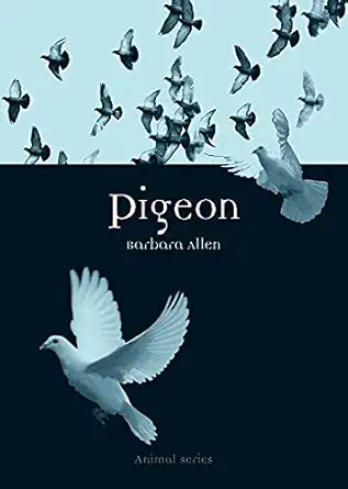 pigeon 1st edition barbara allen 1861895135, 978-1861895134
