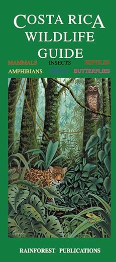 costa rica wildlife guide 1st edition rainforest publications ,mark wainwright ,robert dean ,jannah brown