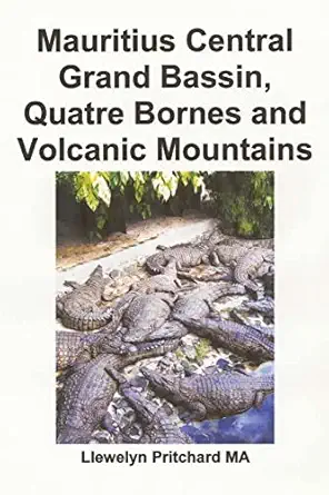 mauritius central grand bassin quatre bornes and volcanic mountains souvenir kokoelma varivalokuvia
