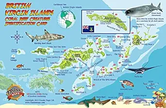british virgin islands dive map and coral reef creatures guide franko maps bvi laminated fish card 1st