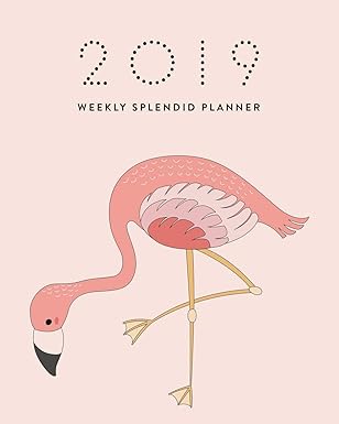 2019 weekly splendid planner cute pink flamingo adorable graphic cartoon illustration dated calendar schedule
