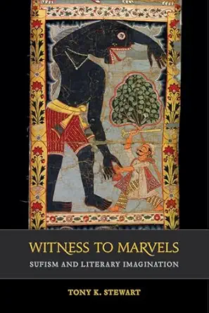 witness to marvels sufism and literary imagination 1st edition tony k stewart 0520306333, 978-0520306332