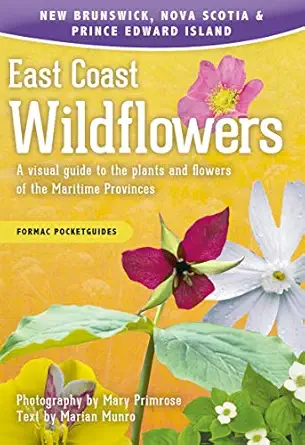 east coast wildflowers a visual guide to the plants and flowers of the maritime provinces 1st edition mary