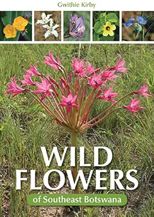 wild flowers of southeast botswana 1st edition gwithie kirby 1775840336, 978-1775840336