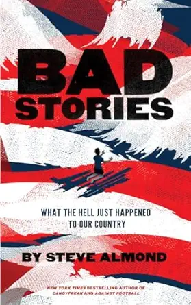 bad stories what the hell just happened to our country 1st edition steve almond 1597092266, 978-1597092265