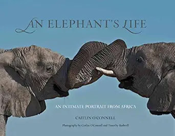 elephants life an intimate portrait from africa 1st edition caitlin o\\\\\\\'connell ,timothy rodwell