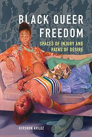 black queer freedom spaces of injury and paths of desire 1st edition gershun avilez 0252085280, 978-0252085284