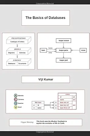 the basics of databases 1st edition viji kumar 197313828x, 978-1973138280