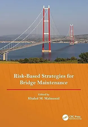 risk based strategies for bridge maintenance proceedings of the 11th new york city bridge conference 21 22