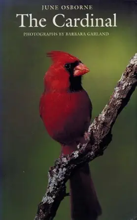 the cardinal 1st edition june osborne ,barbara garland 0292760434, 978-0292760431