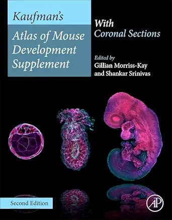 kaufmana s atlas of mouse development supplement with coronal sections 1st edition gillian morriss kay