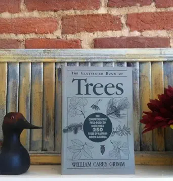 illustrated book of trees 1st edition william carey grimm 0811722201, 978-0811722209