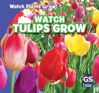 watch tulips grow 1st edition kristen rajczak 143394846x, 978-1433948466