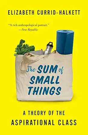 the sum of small things a theory of the aspirational class 1st edition elizabeth currid halkett 0691183171,