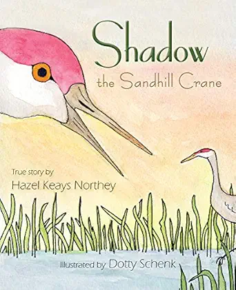 shadow the sandhill crane 1st edition hazel northey 1945805218, 978-1945805219