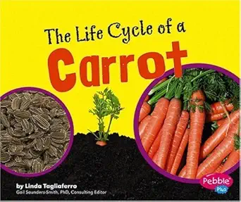 the life cycle of a carrot 1st edition linda tagliaferro 0736867139, 978-0736867139