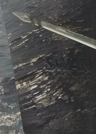 swan is passion 1st edition decio g r carugati 8837044038, 978-8837044039