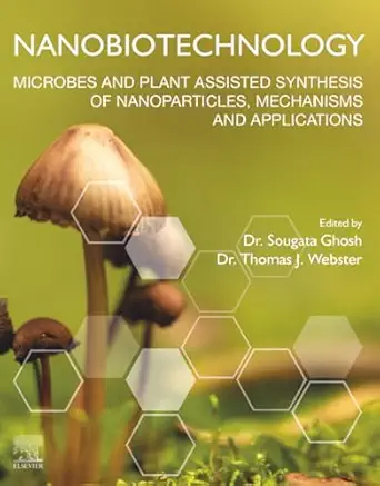 nanobiotechnology microbes and plant assisted synthesis of nanoparticles mechanisms and applications 1st