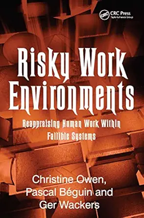 risky work environments reappraising human work within fallible systems 1st edition pascal ba c guin