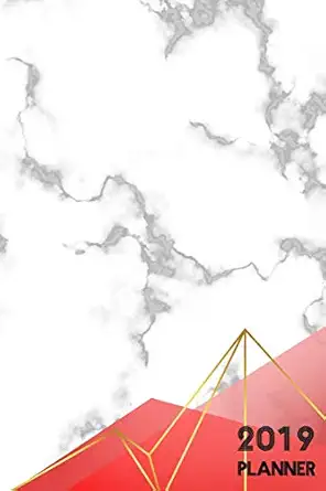 2019 planner dated 365 daily 52 week and monthly planner journal 1st edition gino brooks 1720048703,