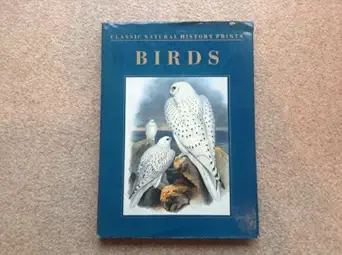 birds classic natural history 1st edition rh value publishing 0517017687, 978-0517017685
