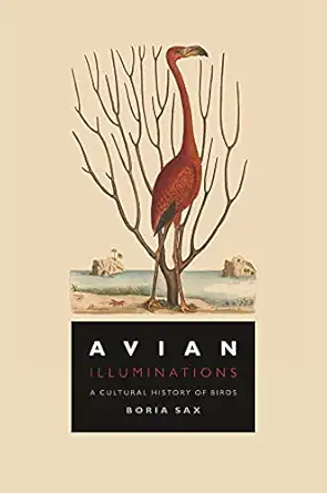 avian illuminations a cultural history of birds 1st edition boria sax 1789144329, 978-1789144321
