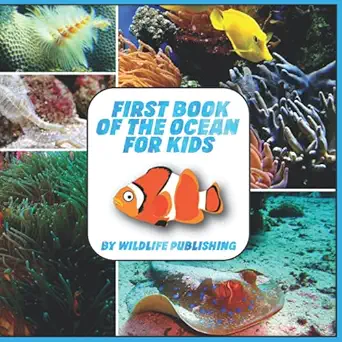 first book of the ocean for kids ocean animals activity book 1st edition wildlife publishing 1095183230,