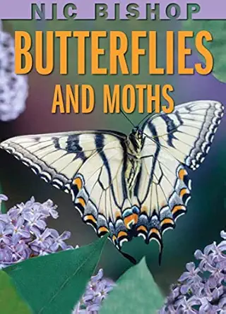 nic bishop butterflies and moths 1st edition nic bishop 0439877571, 978-0439877572