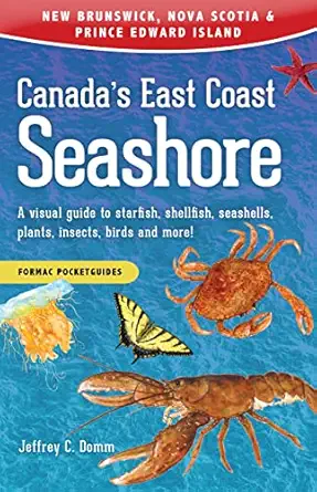 canadas east coast seashore a visual guide to starfish shellfish seashells plants insects birds and more 1st