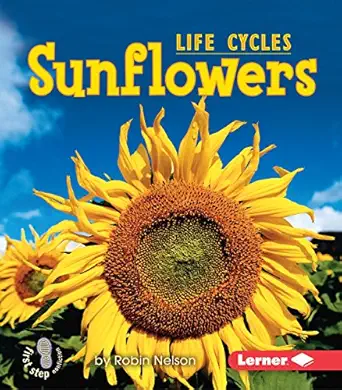 sunflowers 1st edition robin nelson 0761341218, 978-0761341215