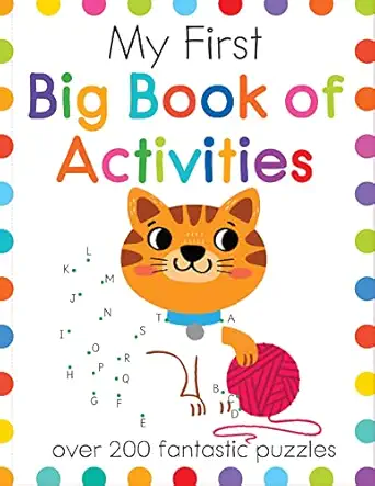 my first big book of activities early learning workbook for ages 3 to 6 1st edition isabel aniel ,sonia