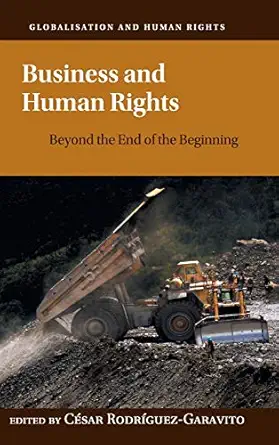 business and human rights beyond the end of the beginning 1st edition ca c sar rodriguez garavito 1107175291,