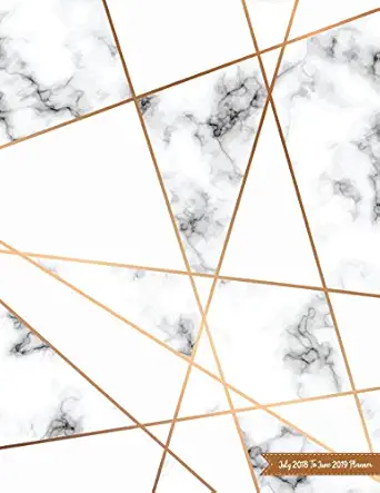 july 2018 to june 2019 planner two year daily weekly monthly calendar planner 18 months july 2018 to december