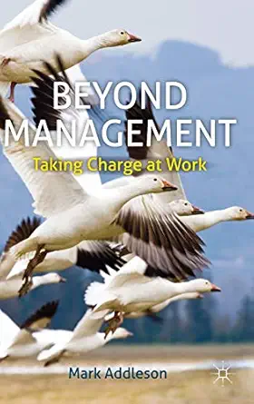 beyond management taking charge at work 1st edition m addleson 0230308163, 978-0230308169