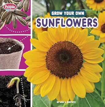 grow your own sunflowers 1st edition lisa j amstutz 0756589657, 978-0756589653