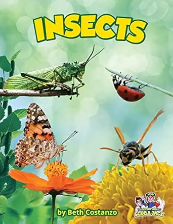 insects 1st edition beth costanzo 1088070264, 978-1088070260