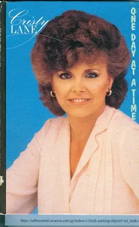 the one day at a time 1st edition lee stoller 0091832004, 978-0091832001