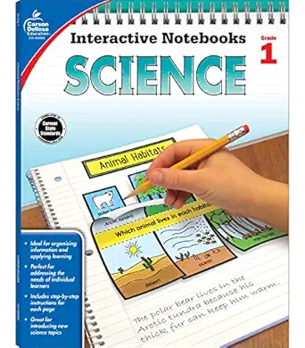 carson dellosa 1st grade interactive notebooks reproducible workbook covering physical space and earth